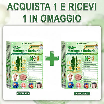 𝑫𝑶𝑻𝑨𝑳𝑬® Moringa x Berberina x AMPK Cerotto Nano Microneedle 8-Benefici per Dimagrimento & Metabolismo  (Solo una volta al giorno, cambiamenti visibili in 7 giorni)  ✅ Per obesità, pelle rilassata, diabete, apnea del sonno, problemi articolari e altro 🎈🎈