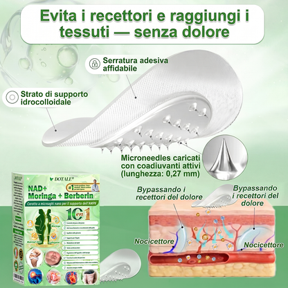 𝑫𝑶𝑻𝑨𝑳𝑬® Moringa x Berberina x AMPK Cerotto Nano Microneedle 8-Benefici per Dimagrimento & Metabolismo  (Solo una volta al giorno, cambiamenti visibili in 7 giorni)  ✅ Per obesità, pelle rilassata, diabete, apnea del sonno, problemi articolari e altro 🎈🎈