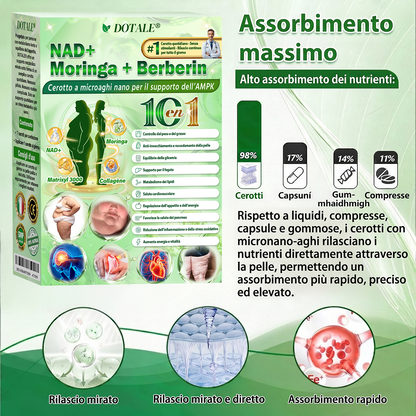 𝑫𝑶𝑻𝑨𝑳𝑬® Moringa x Berberina x AMPK Cerotto Nano Microneedle 8-Benefici per Dimagrimento & Metabolismo  (Solo una volta al giorno, cambiamenti visibili in 7 giorni)  ✅ Per obesità, pelle rilassata, diabete, apnea del sonno, problemi articolari e altro 🎈🎈