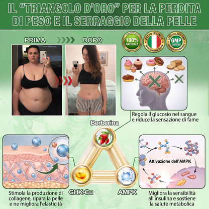 𝑫𝑶𝑻𝑨𝑳𝑬® Moringa x Berberina x AMPK Cerotto Nano Microneedle 8-Benefici per Dimagrimento & Metabolismo  (Solo una volta al giorno, cambiamenti visibili in 7 giorni)  ✅ Per obesità, pelle rilassata, diabete, apnea del sonno, problemi articolari e altro 🎈🎈